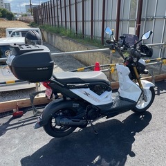 ズーマーX 110 jf62 2019年　希少の白黒の画像
