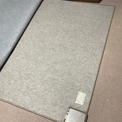 ホットカーペット➕カーペット
の画像