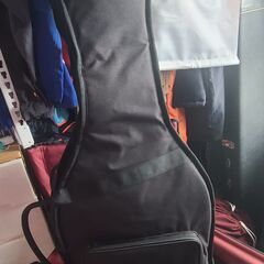 Protec gold series CF233DBL double soft bass caseの画像