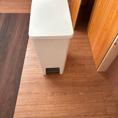 45L ゴミ箱
の画像