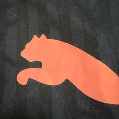 プーマ　PUMA ジャージ上下　ピンクの画像