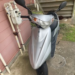 スズキの画像