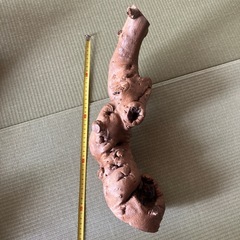 天然木のオブジェ3点の画像