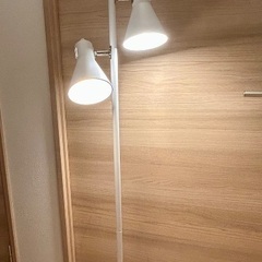 フロアライト　スタンドライトの画像