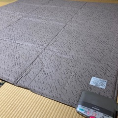 ホットカーペットの画像