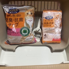 猫トイレの画像
