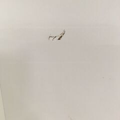 ★リユースのサカイ横浜南店★YM1493 NITORI レンジボード ホワイト W100×D45×H200 クリーニング済みの画像