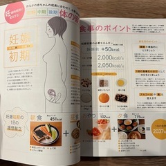 美品⭐︎妊娠中の食事　料理本の画像