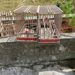 鳥小屋の画像