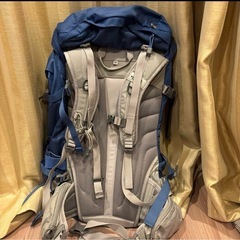 THE NORTH FACE リュックの画像