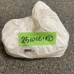 使い捨て歯ブラシ 100本 歯磨き粉付きの画像