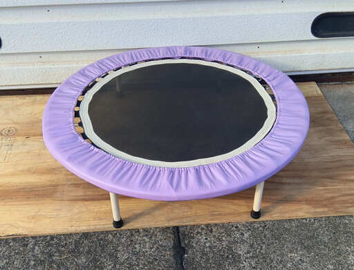 木更津市民限定】トランポリン（2510-12） (木更津市) 木更津の