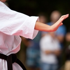 柔(やわら)系武術！　武術のコツ、テクニックを指導致します！の画像