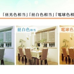 ブランド品　 電球色100W　LED電球２個セット　 の画像