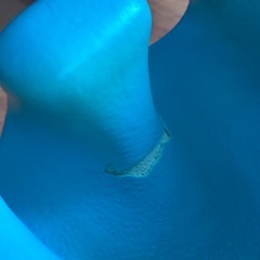バンボ　ベビーチェアの画像
