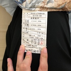掛け布団2枚セットの画像