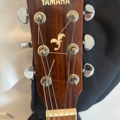 YAMAHA ヤマハ アコースティックギター ヤマハ　ギター の画像