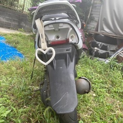 スズキ ZZ 50cc　の画像