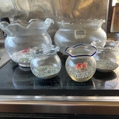 金魚鉢　　大小　５個の画像