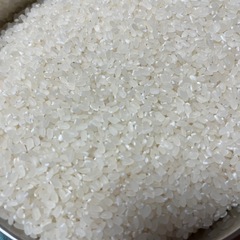 新米　令和7年産　ゆうだい21 精米10kg 8,000円
の画像