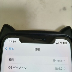 一度締め切ります。iPhone XRの画像