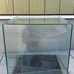 水槽の画像