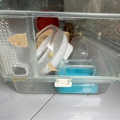グラスハーモニー　ハムスターゲージの画像