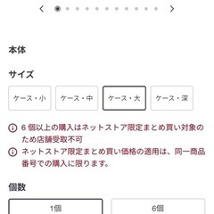 無印　やわらかポリエチレンケース大の画像