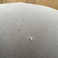 ヨギボー サポート yogiboの画像