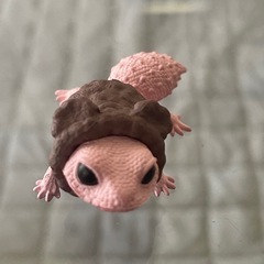 レオパ　ガチャ
の画像