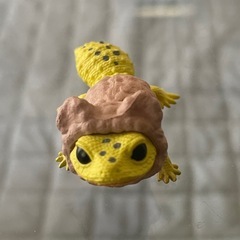レオパ　ガチャ
の画像