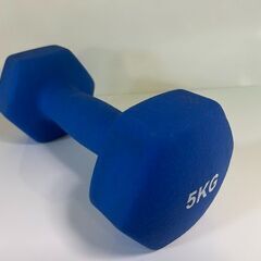 【リサイクルストアスターズ城西店】 【中古品】5kg ダンベル 青②の画像
