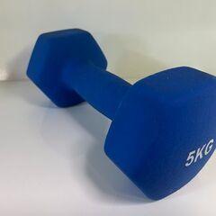 【リサイクルストアスターズ城西店】 【中古品】5kg ダンベル 青③の画像