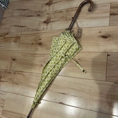 伊勢丹購入　花柄の日傘の画像