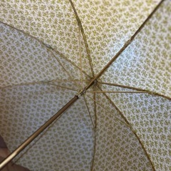 伊勢丹購入　花柄の日傘の画像