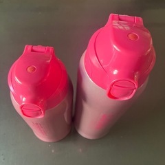 サハラ 水筒
の画像