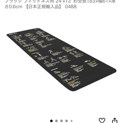 NO250 未使用品　スキルズ(SKLZ) トレーニングマット トレーナーマットの画像