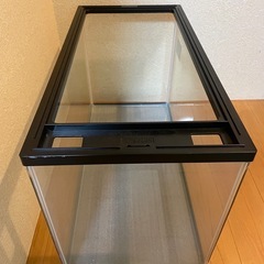 ガラス水槽60の画像