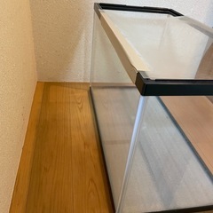 ガラス水槽60の画像