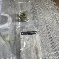 テトラ　金魚・メダカの静かなフィルター　5l水槽の画像