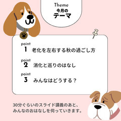 無料！『老犬のためのおはなし会』オンライン開催♪の画像