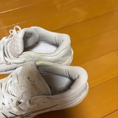 バッシュ（26.0cm）10/15日までの画像