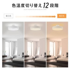 【決まりました感謝】照明 シーリングライト の画像
