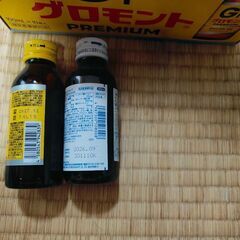 栄養ドリンク　グロモント エスカップ 10本の画像