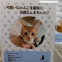 好奇心旺盛で超フレンドリー🐾マル君