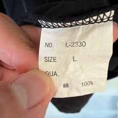 ストライプ柄 半袖Tシャツの画像