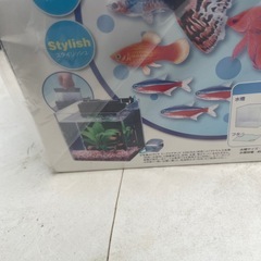 値下げ魚飼育セットの画像