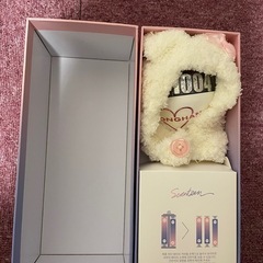 Seventeen セブチ  ペンライト　初期ぺんらペンラの画像
