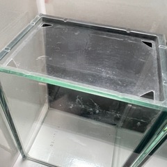 中古🐟GEX🐡グラステリア🐠ベタ🐠背面色ブラック🐡２点セット🐟の画像