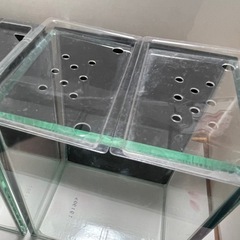 中古🐟GEX🐡グラステリア🐠ベタ🐠背面色ブラック🐡２点セット🐟の画像